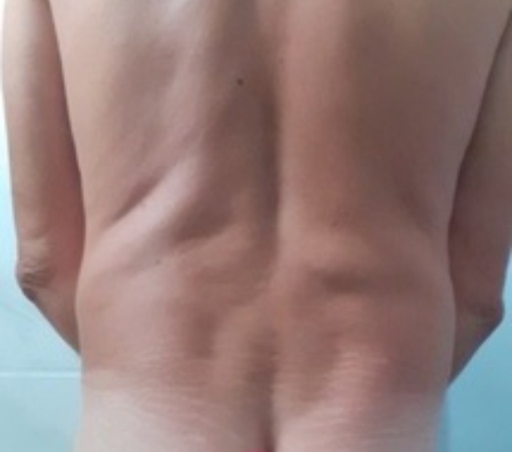Profil de Vlado