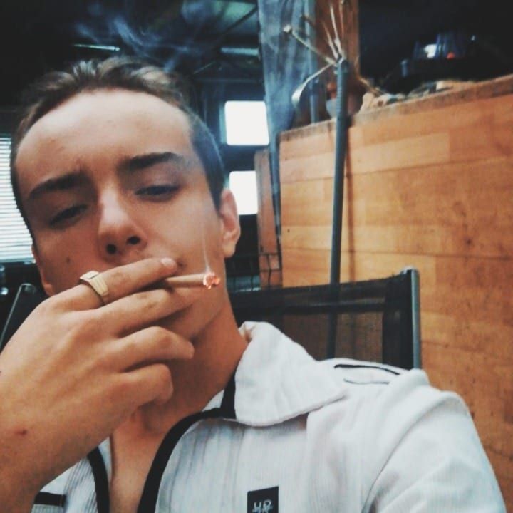 Profil de Arslan